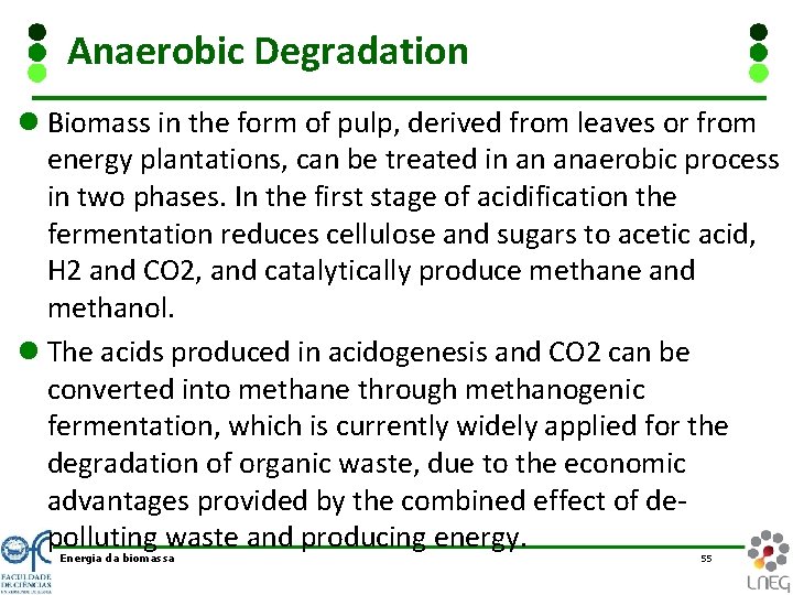Anaerobic Degradation l Biomass in the form of pulp, derived from leaves or from