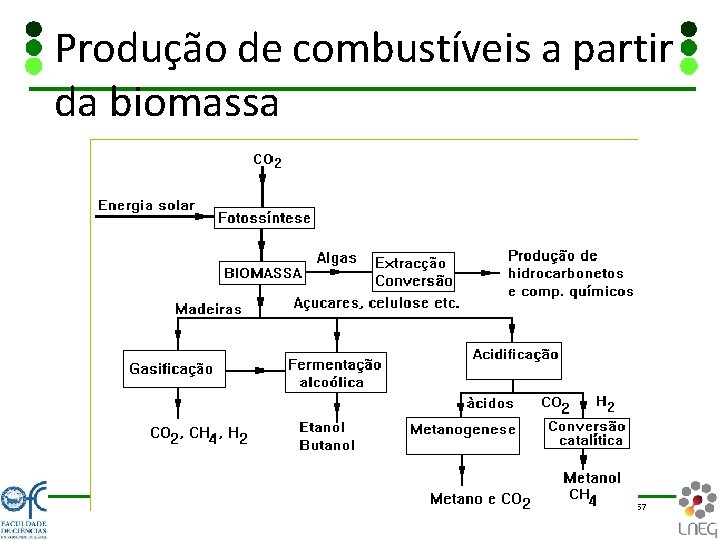 Produção de combustíveis a partir da biomassa 57 