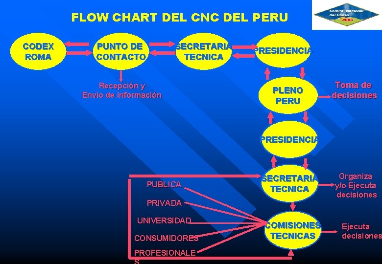 FLOW CHART DEL CNC DEL PERU CODEX ROMA PUNTO DE CONTACTO SECRETARIA TECNICA Recepción