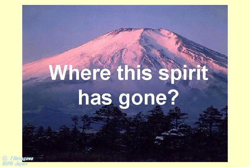 Where this spirit has gone? Ｃ T Hasegawa NIPH. Japan 