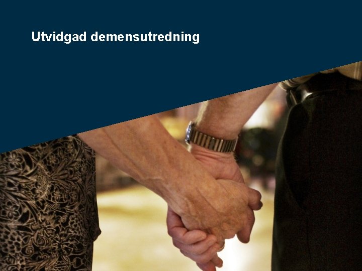 Utvidgad demensutredning 