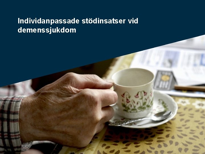 Individanpassade stödinsatser vid demenssjukdom 