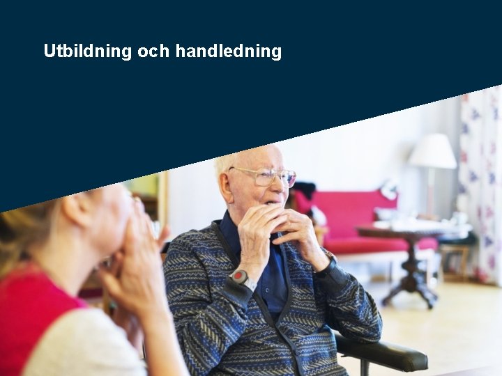 Utbildning och handledning 