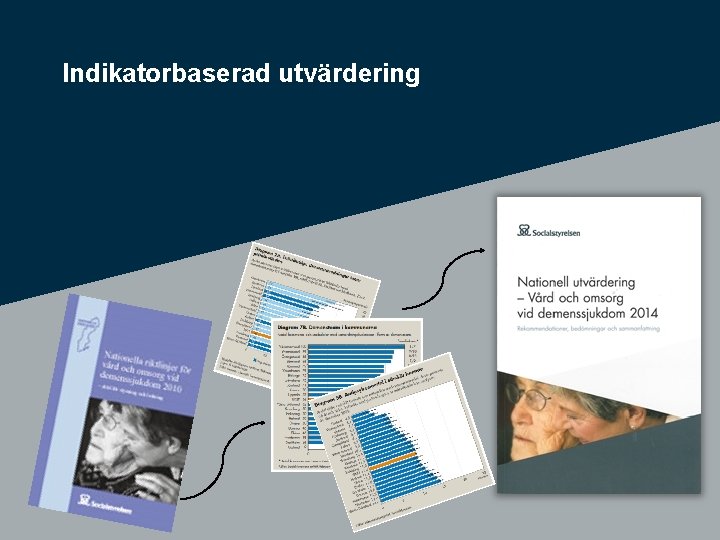 Indikatorbaserad utvärdering 