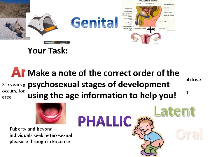 + Your Task: Make a note of the correct order of the Anal Toilet