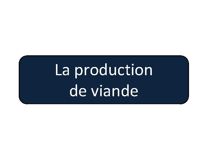 La production de viande 