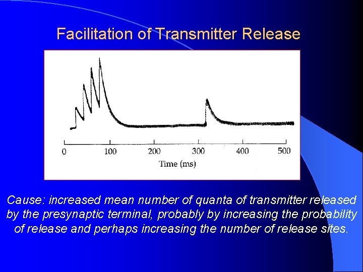 Facilitation of Transmitter Release Cause: increased mean number of quanta of transmitter released by Facilitation of Transmitter Release Cause: increased mean number of quanta of transmitter released by