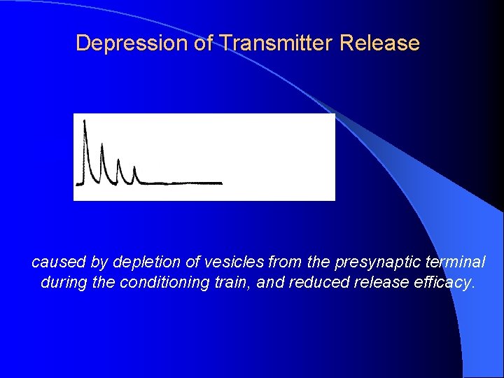 Depression of Transmitter Release caused by depletion of vesicles from the presynaptic terminal during Depression of Transmitter Release caused by depletion of vesicles from the presynaptic terminal during