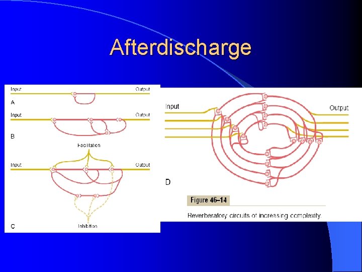 Afterdischarge Afterdischarge