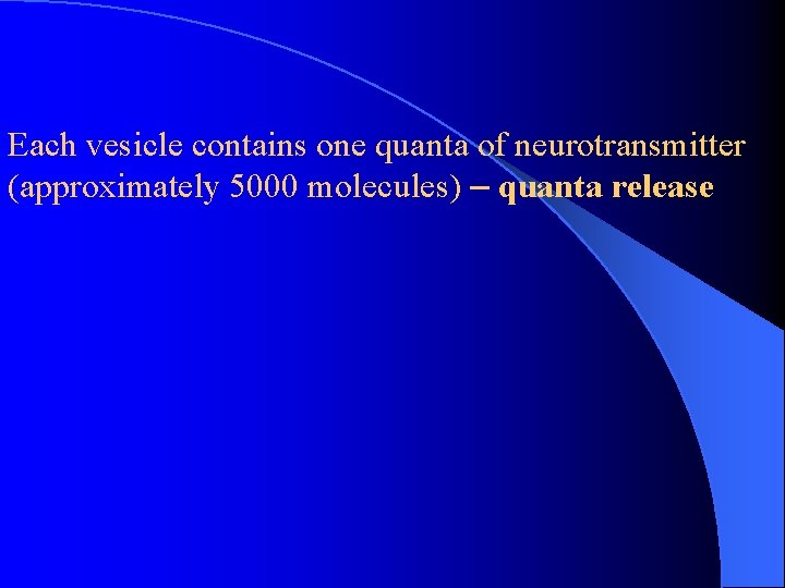 Each vesicle contains one quanta of neurotransmitter (approximately 5000 molecules) – quanta release Each vesicle contains one quanta of neurotransmitter (approximately 5000 molecules) – quanta release