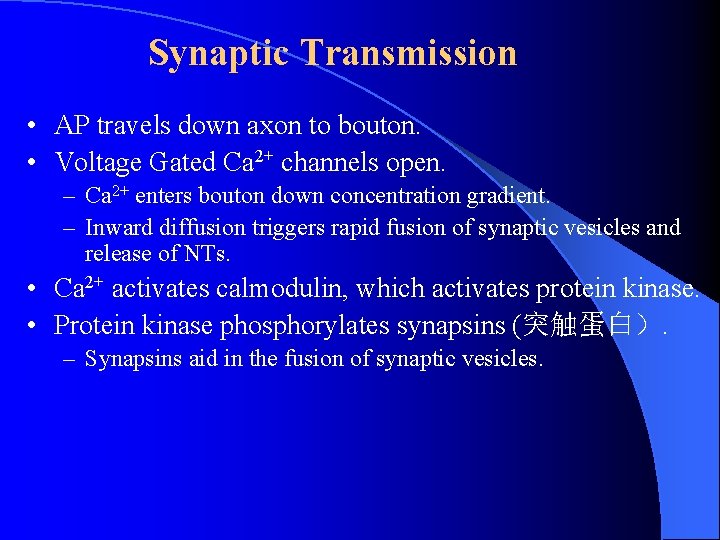 Synaptic Transmission • AP travels down axon to bouton. • Voltage Gated Ca 2+ Synaptic Transmission • AP travels down axon to bouton. • Voltage Gated Ca 2+
