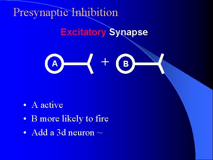 Presynaptic Inhibition Excitatory Synapse A + • A active • B more likely to Presynaptic Inhibition Excitatory Synapse A + • A active • B more likely to