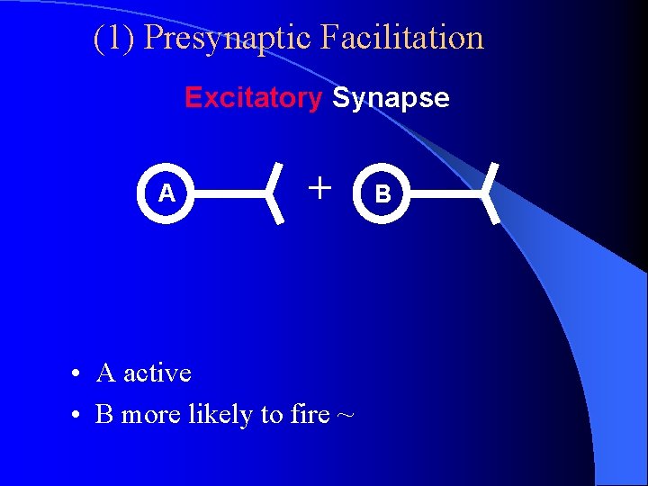 (1) Presynaptic Facilitation Excitatory Synapse A + • A active • B more likely (1) Presynaptic Facilitation Excitatory Synapse A + • A active • B more likely