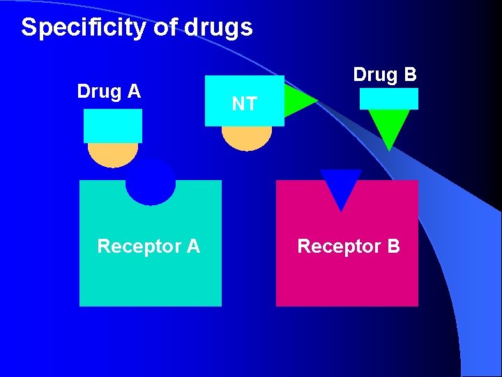 Specificity of drugs Drug A Receptor A Drug B NT Receptor B Specificity of drugs Drug A Receptor A Drug B NT Receptor B