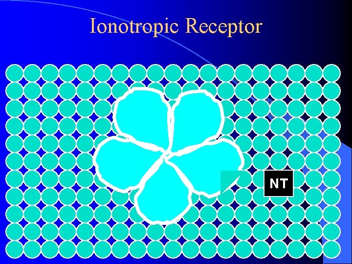 Ionotropic Receptor NT Ionotropic Receptor NT