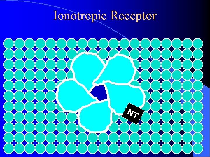 Ionotropic Receptor NT Ionotropic Receptor NT