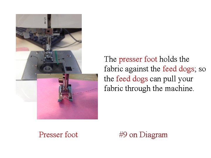 The presser foot holds the fabric against the feed dogs; so the feed dogs