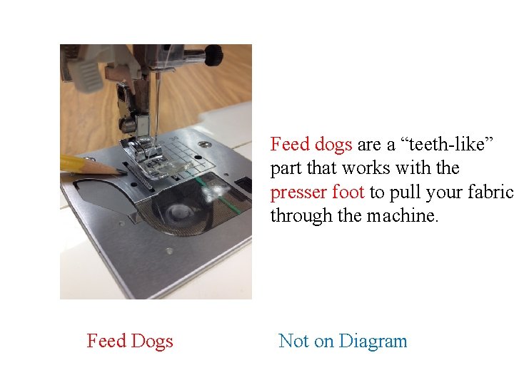 Feed dogs are a “teeth-like” part that works with the presser foot to pull