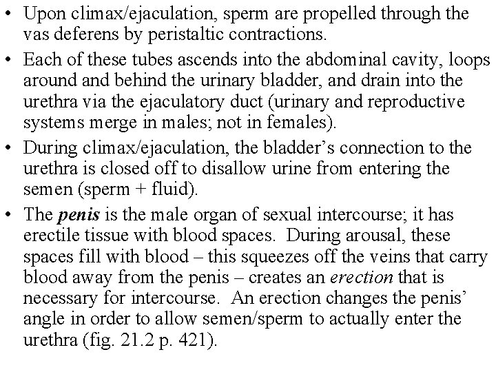  • Upon climax/ejaculation, sperm are propelled through the vas deferens by peristaltic contractions.