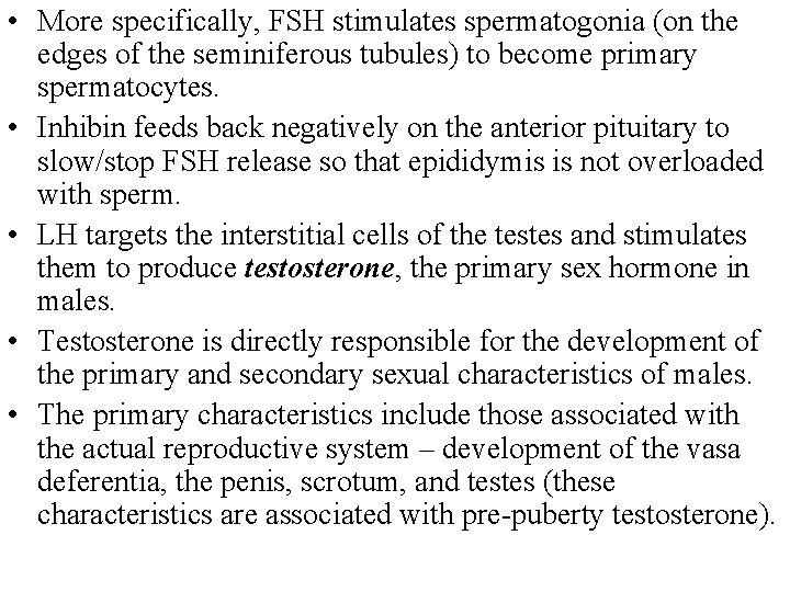  • More specifically, FSH stimulates spermatogonia (on the edges of the seminiferous tubules)