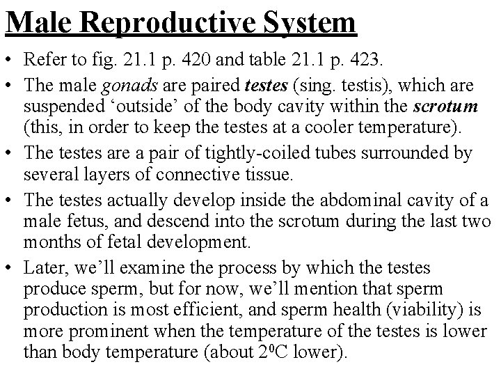 Male Reproductive System • Refer to fig. 21. 1 p. 420 and table 21.