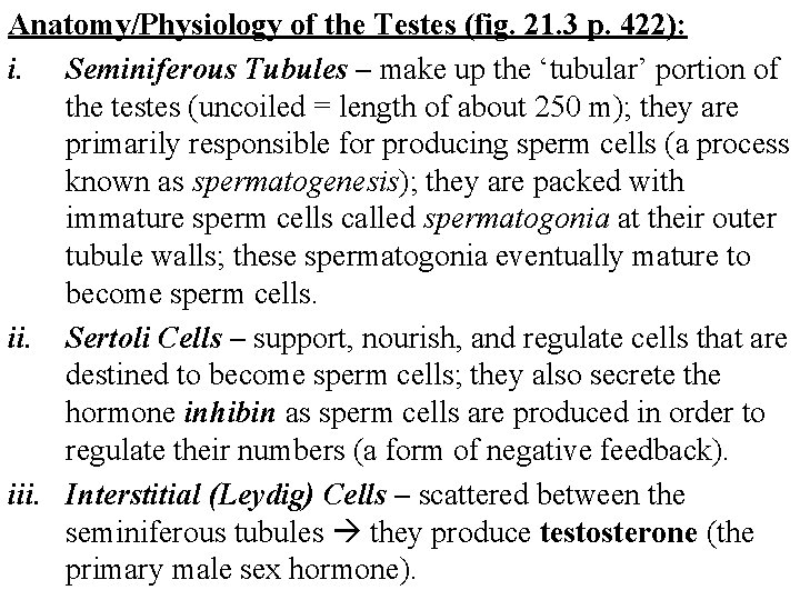 Anatomy/Physiology of the Testes (fig. 21. 3 p. 422): i. Seminiferous Tubules – make