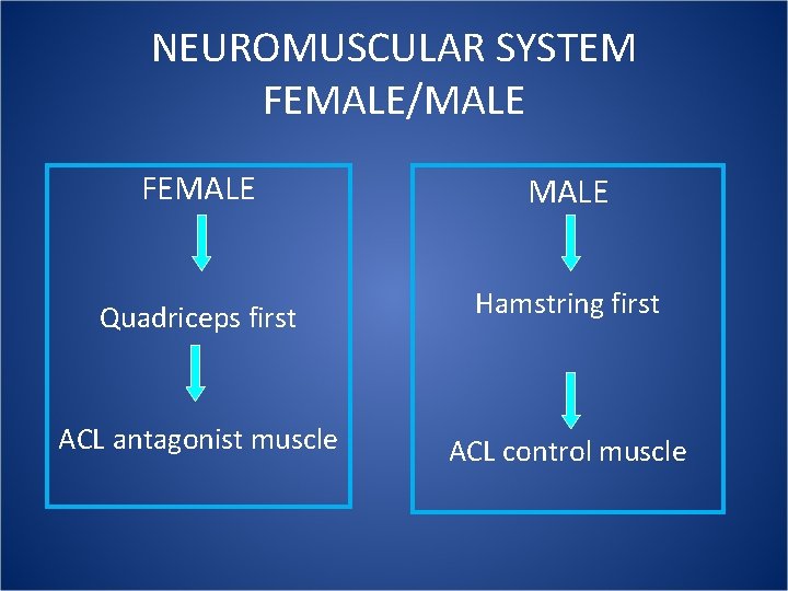 NEUROMUSCULAR SYSTEM FEMALE/MALE FEMALE Quadriceps first Hamstring first ACL antagonist muscle ACL control muscle