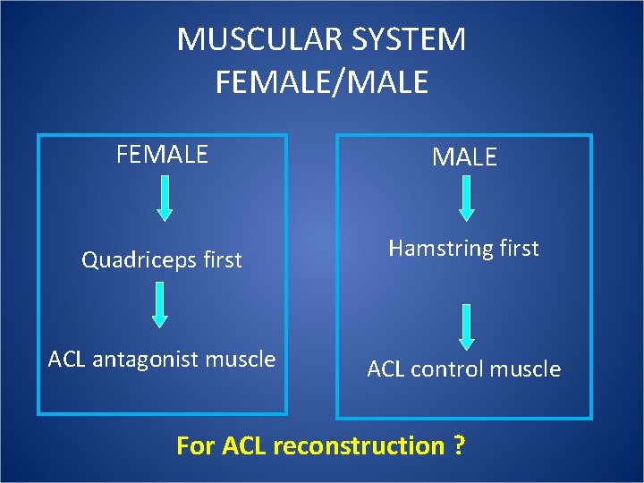 MUSCULAR SYSTEM FEMALE/MALE FEMALE Quadriceps first Hamstring first ACL antagonist muscle ACL control muscle