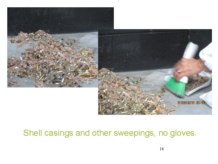 Shell casings and other sweepings, no gloves. 14 Shell casings and other sweepings, no gloves. 14