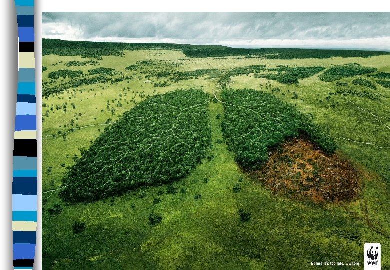 Alejandro barreiro 79 