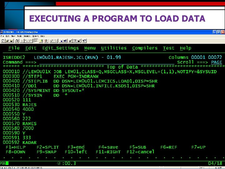 EXECUTING A PROGRAM TO LOAD DATA 