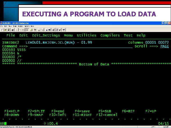 EXECUTING A PROGRAM TO LOAD DATA 