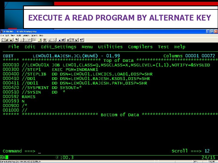 EXECUTE A READ PROGRAM BY ALTERNATE KEY 