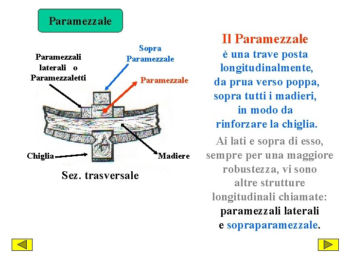 Paramezzale Paramezzali laterali o Paramezzaletti Sopra Paramezzale Chiglia Paramezzale Madiere Sez. trasversale Il Paramezzale