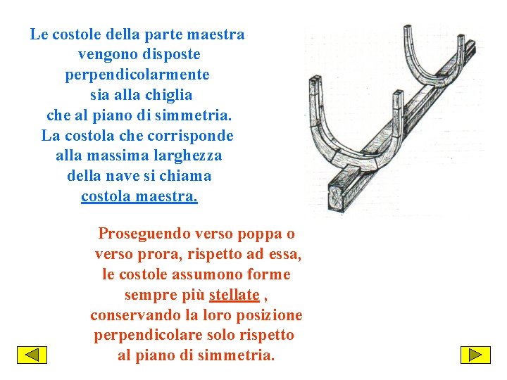 Le costole della parte maestra vengono disposte perpendicolarmente sia alla chiglia che al piano