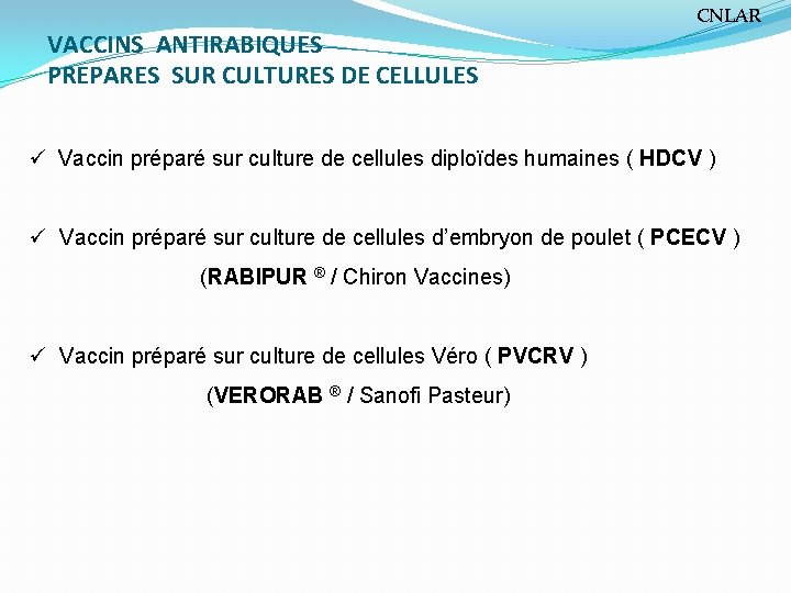 VACCINS ANTIRABIQUES PREPARES SUR CULTURES DE CELLULES CNLAR ü Vaccin préparé sur culture de