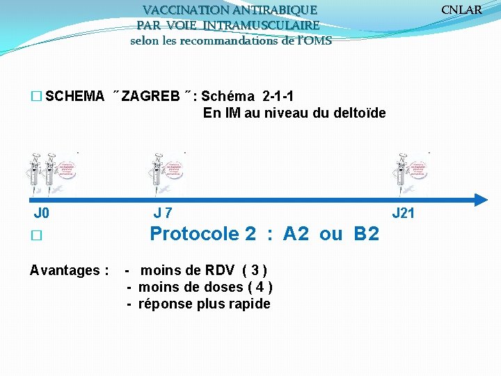 VACCINATION ANTIRABIQUE PAR VOIE INTRAMUSCULAIRE selon les recommandations de l’OMS � SCHEMA ˝ ZAGREB