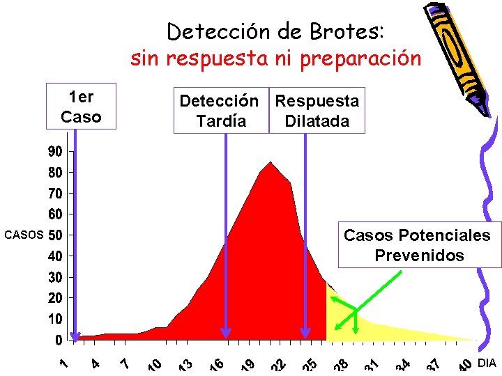 Detección de Brotes: sin respuesta ni preparación 1 er Caso CASOS Detección Respuesta Tardía