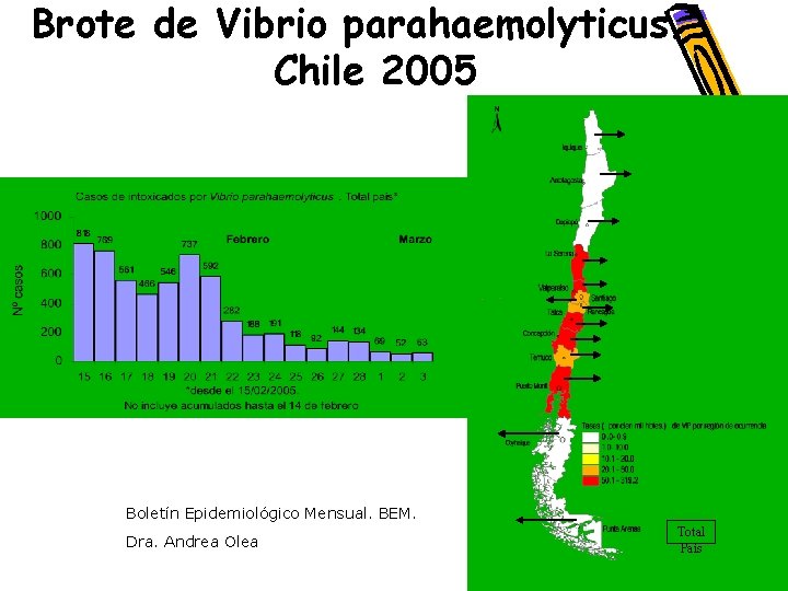 Brote de Vibrio parahaemolyticus. Chile 2005 Boletín Epidemiológico Mensual. BEM. Dra. Andrea Olea Total