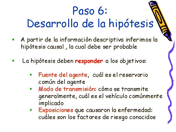 Paso 6: Desarrollo de la hipótesis § § A partir de la información descriptiva