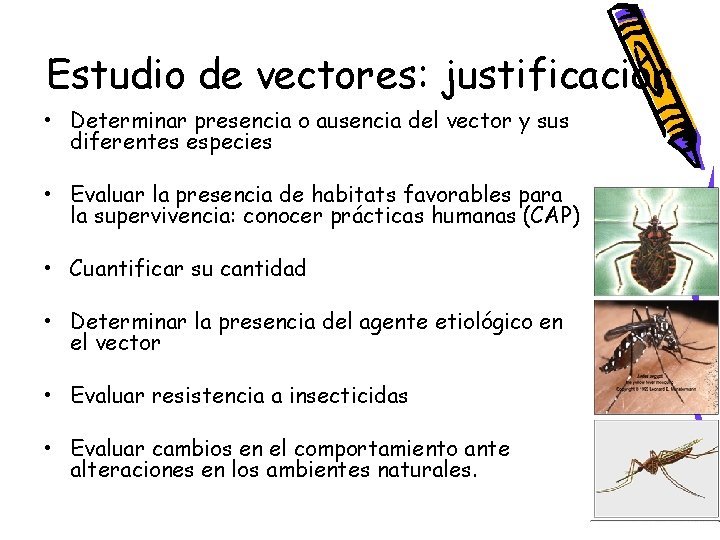 Estudio de vectores: justificación • Determinar presencia o ausencia del vector y sus diferentes