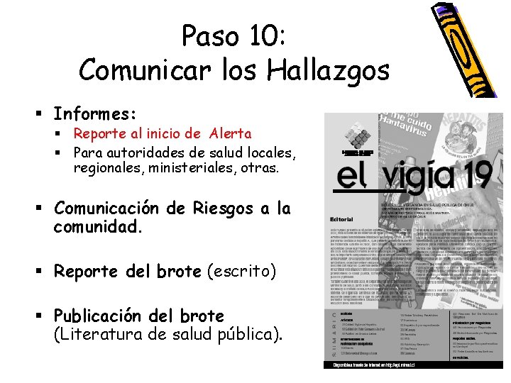 Paso 10: Comunicar los Hallazgos § Informes: § Reporte al inicio de Alerta §