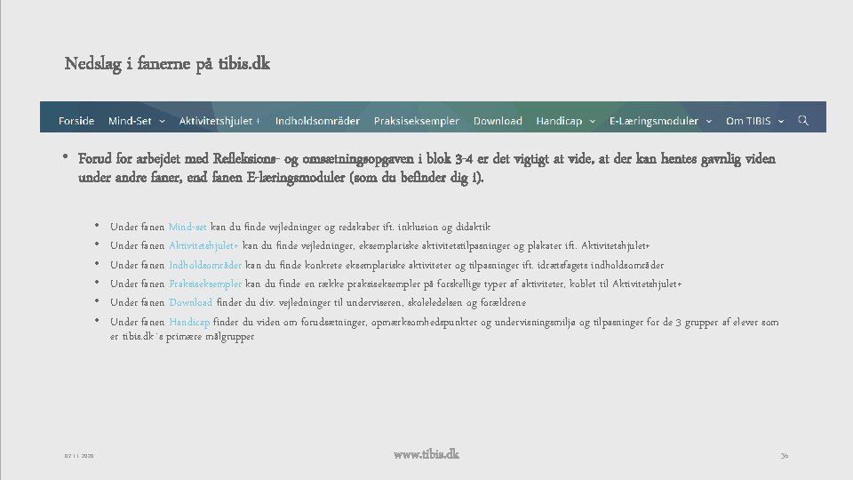 Nedslag i fanerne på tibis. dk • Forud for arbejdet med Refleksions- og omsætningsopgaven