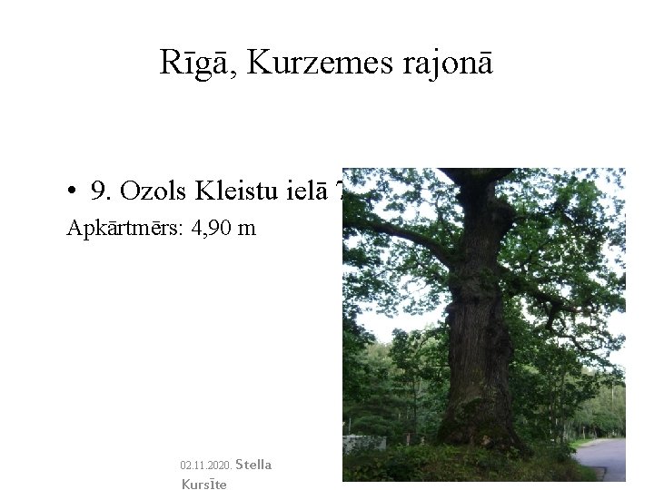 Rīgā, Kurzemes rajonā • 9. Ozols Kleistu ielā 75. Apkārtmērs: 4, 90 m 02.