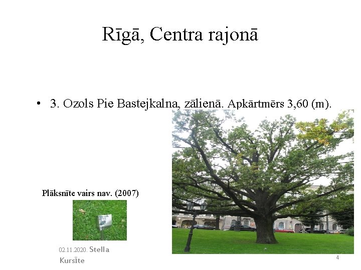 Rīgā, Centra rajonā • 3. Ozols Pie Bastejkalna, zālienā. Apkārtmērs 3, 60 (m). Plāksnīte