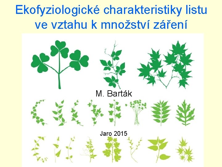 Ekofyziologické charakteristiky listu ve vztahu k množství záření M. Barták Jaro 2015 