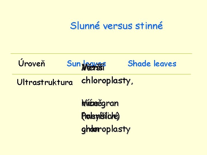 Slunné versus stinné Úroveň Sun Větší leaves Menší Shade leaves Větší Menší Ultrastruktura chloroplasty,