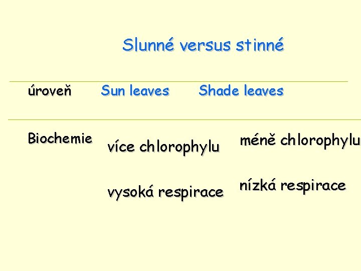 Slunné versus stinné úroveň Biochemie Sun leaves Shade leaves více chlorophylu méně chlorophylu nízká