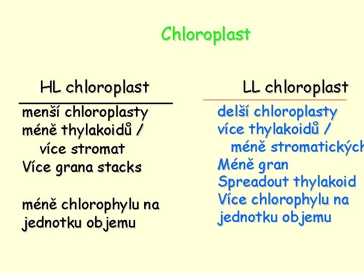 Chloroplast HL chloroplast menší chloroplasty méně thylakoidů / více stromat Více grana stacks méně