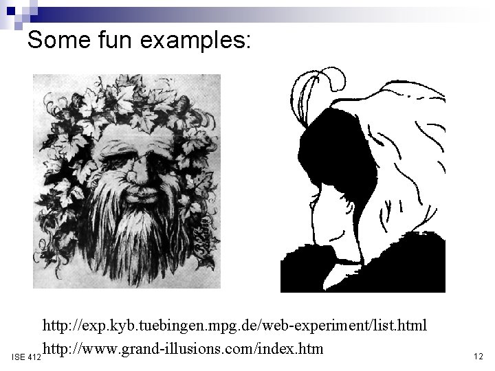 Some fun examples: http: //exp. kyb. tuebingen. mpg. de/web-experiment/list. html http: //www. grand-illusions. com/index.